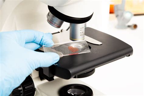 Microscope at the Medicine, Medical and Biology Laboratory Stock Image ...