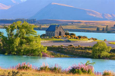 Lake Tekapo, New Zealand – Everything You Need to Know – Haka Tours Blog