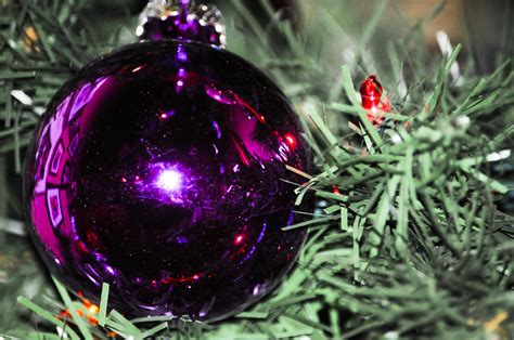 Purple Christmas Tree Ornament Free Stock Photo - Public Domain Pictures