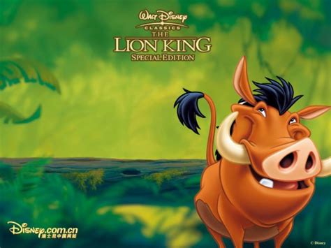 Timon Pumbaa Gif Hakuna Matata - 1920x1080 Wallpaper - teahub.io