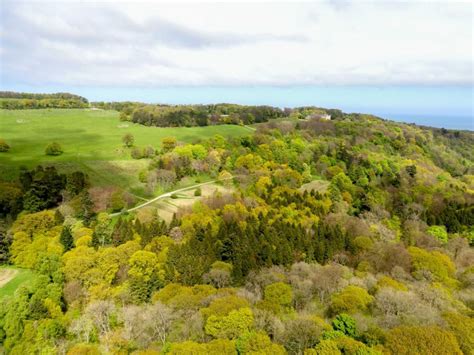 Mulgrave Estate Unveils Plans To Plant Over 300,000 Trees