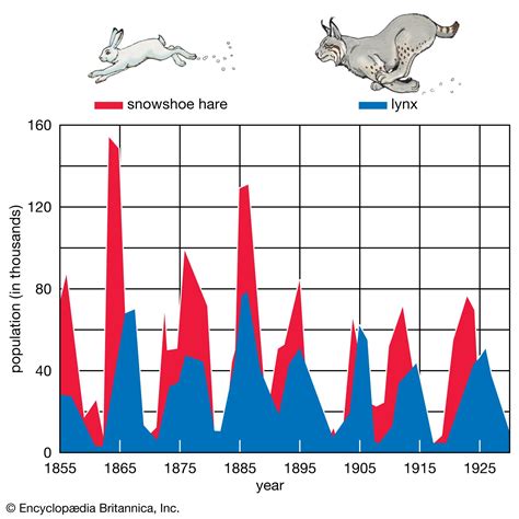 Exponential Growth Is Rare Because Resources Are Usually Limiting.