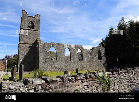 Cong Abbey is a historic site located at Cong, on the borders of ...