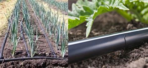 Irrigation and Watering Equipment - Beautiful Land Products