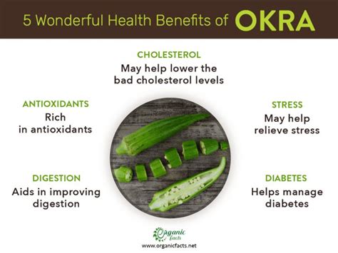 Top 5 Health Benefits of Okra | Organic Facts