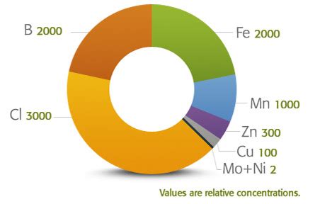 Micronutrients - Nutrient Management | Mosaic Crop Nutrition