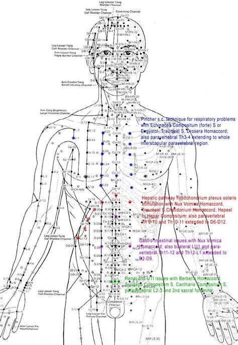 The (re)-Discovery of the Human Energy Field – Think Smarter World