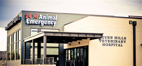 Top Rated Local Veterinarians – Seven Hills Veterinary Hospital, Inc