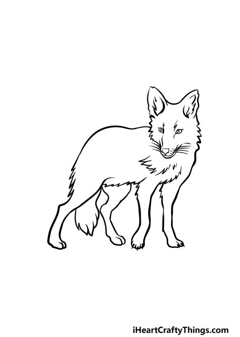 Coyote Drawing - How To Draw A Coyote Step By Step