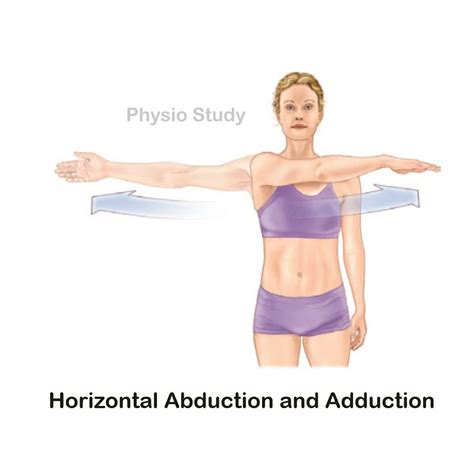 Shoulder Horizontal Abduction And Adduction