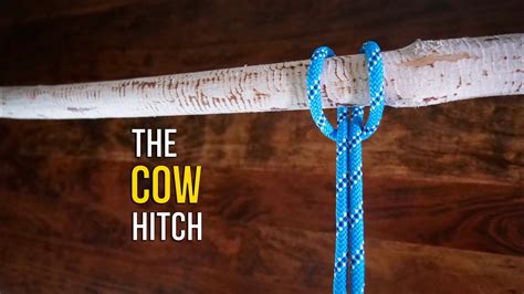 How to Tie the Cow Hitch (Lark's Head Knot) - 3 EASY Ways! | How to Tie ...