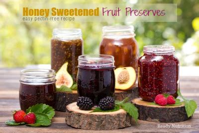 Honey Sweetened Fruit Preserves | Ready Nutrition