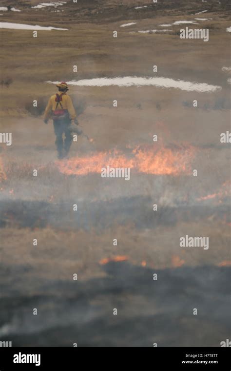 Controlled Burn In Wildlife Management Area Stock Photo - Alamy