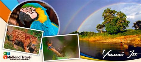 Photo of the Day ‪#‎Yasuní‬ National Park (‪#‎Ecuador‬) Yasuni is home ...