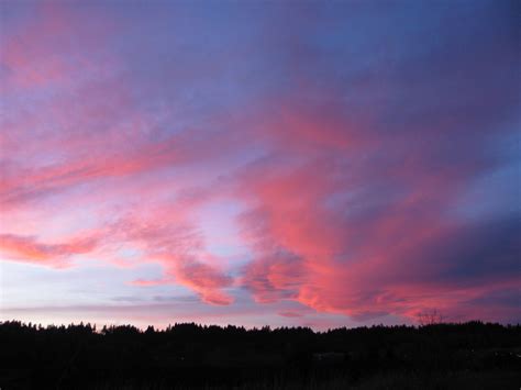 100112 279 | red winter sunset in redmond washington | Bob Jenkins | Flickr