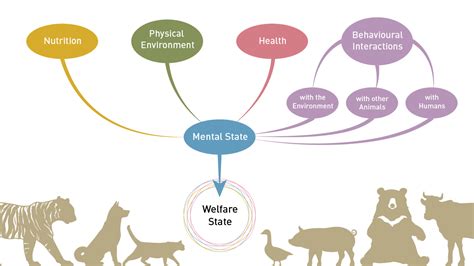 Animal Welfare Assessment Framework - FOUR PAWS in US - Global Animal ...