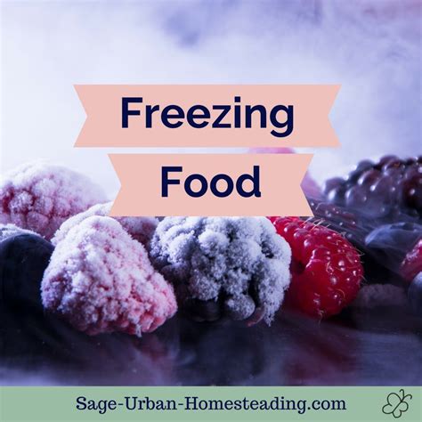 Freezing Food as a Food Preservation Method, Pros and Cons