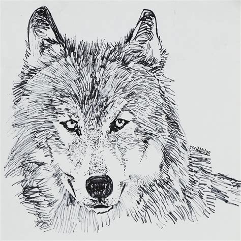 Drawing Of Wolves - Raisa Template