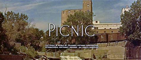 DREAMS ARE WHAT LE CINEMA IS FOR...: PICNIC 1955