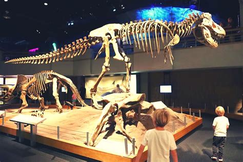 A Day in Drumheller | The Ultimate Dinosaur Adventure for Kids