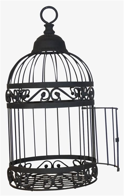 Open The Black Bird Cage PNG Images, Bird Clipart, Birdcage, Tool PNG ...