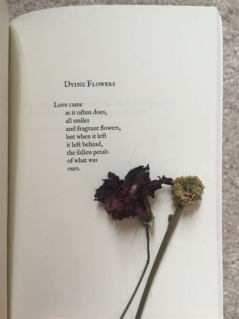 #poem #aesthetic #flowers | Flower poetry, Aesthetic captions, Wild ...