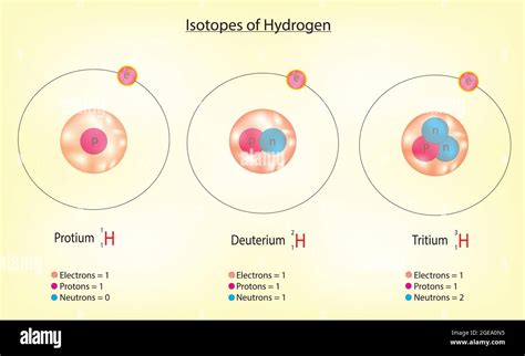 Isotopes of hydrogen, hydrogen Isotopes, hydrogen deuterium tritium ...