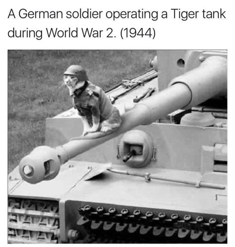 16 Dank Memes Ww2 Factory Memes - Bank2home.com