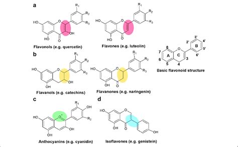 Chemical structures of different groups of antioxidant flavonoids ...