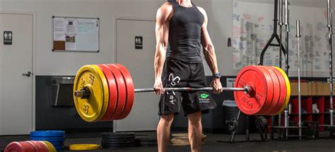 Barbell Deadlift - Workout Trends