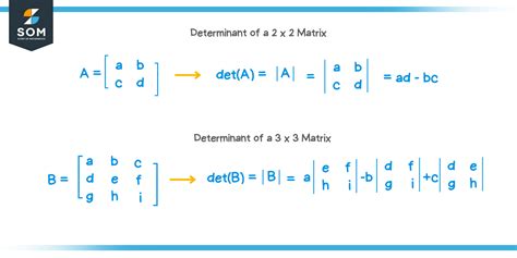 Determinant of a matrix - Explanation & Examples