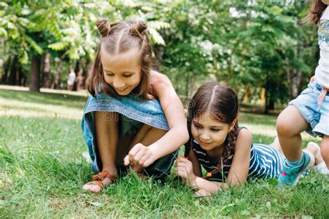 Happy Kids Playing on Green Grass in Summer Park Stock Photo - Image of ...