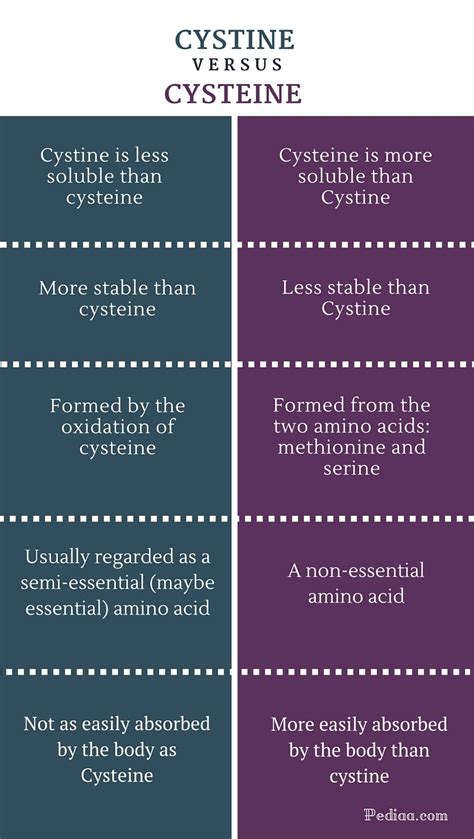 Difference Between Cystine and Cysteine | Properties, Formation, Source