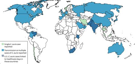 Candida auris found among Russian ICU patients - Life Worldwide