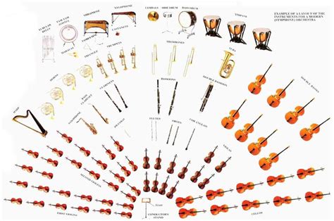 Diagram of modern symphony orchestra | Instruments of the orchestra ...