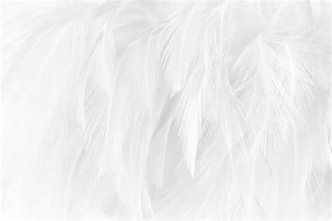 Premium Photo | White feathers texture background.