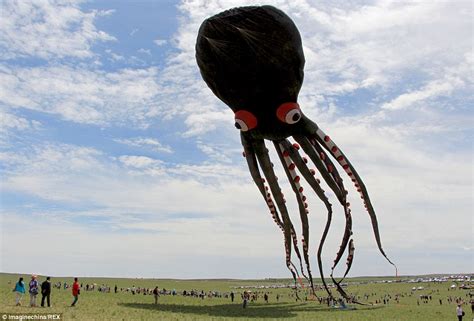 The World's Largest Kite | Kitty Hawk Kites