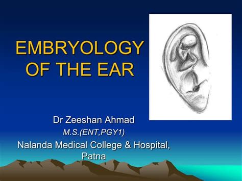 Embryology of ear8 | PPT