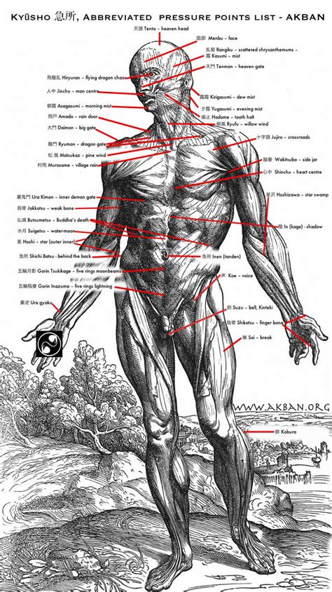 Kyusho, pressure point | AKBAN Ninjutsu Academy, researching martial ...