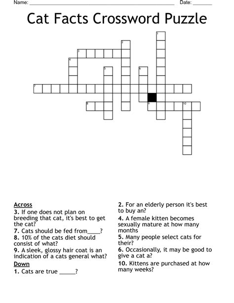 Cat Crossword Puzzle Printable