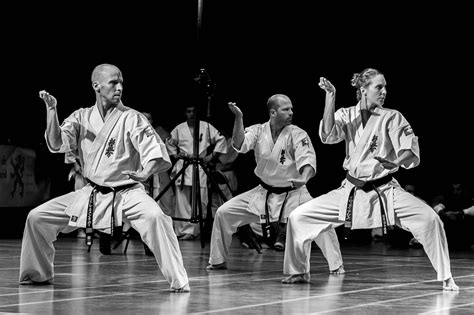 Kata - The Martial Way