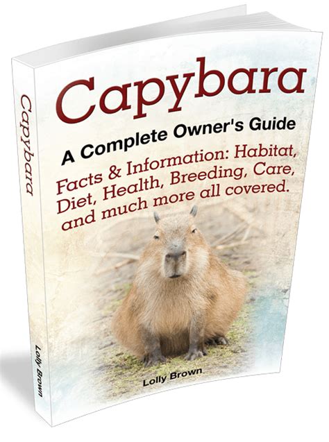 Lolly Brown | About Capybara