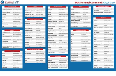 Mac Terminal Commands {Cheat Sheet With Examples}