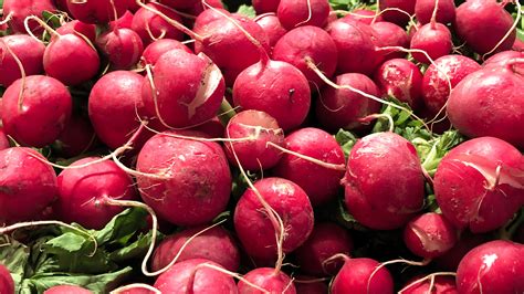 Red Radish Recipes - Everything Radish