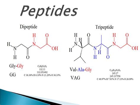 Peptide: Types and functions - Online Biology Notes