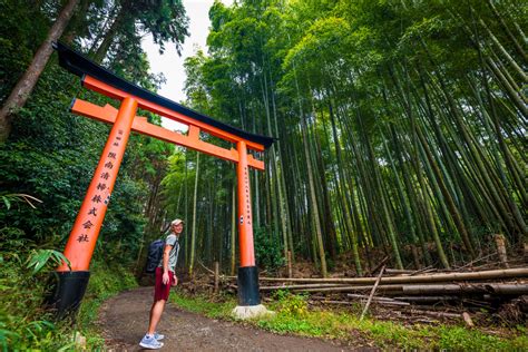 Hiking Kyoto Trail: Fushimi Inari Shrine to Tofukuji Temple - Travel ...