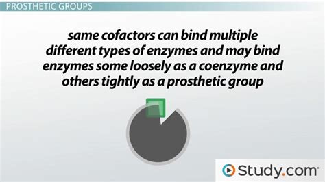 Cofactors vs. Coenzymes | Definition, Differences & Examples - Lesson ...