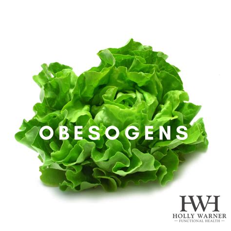 Obesogens - Holly Warner Health