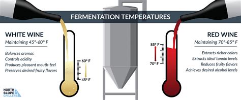 Ever Wonder? How Does Temperature Affect Wine Fermentation ...