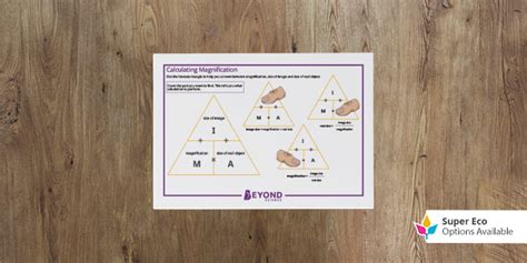 Calculating Magnification Desk Prompt | GCSE Biology |Beyond